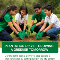 Plantation Drive – Growing a Greener Tomorrow